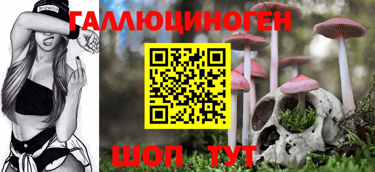 Уссурийск  Псилоцибиновые грибы ЛСД  цена наркотик  Псилоцибиновые грибы Psilocybe  Вход с VPN 